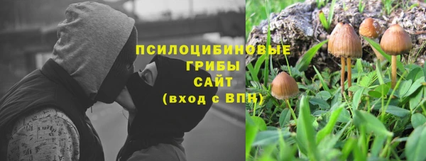 каннабис Белокуриха