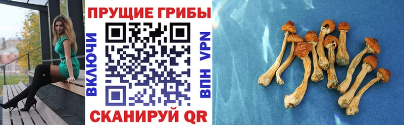 omg как зайти  Верхний Уфалей  Галлюциногенные грибы прущие грибы  цены наркотик 