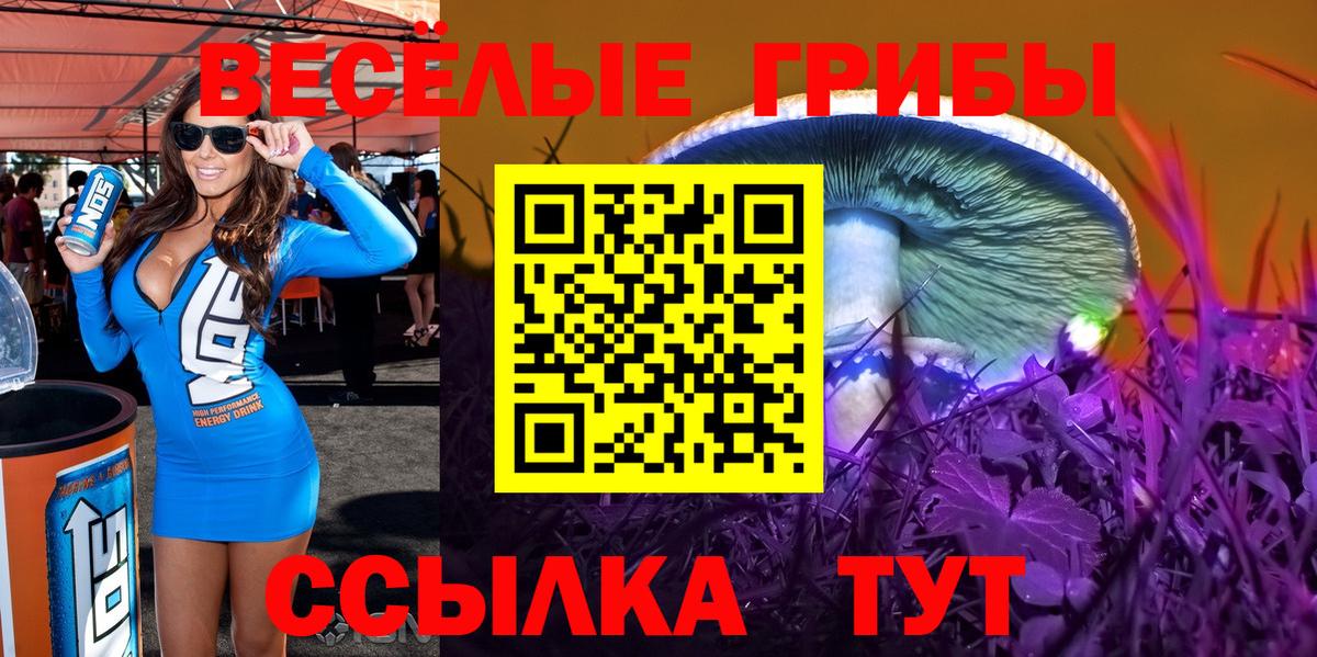 Верхний Уфалей  Псилоцибиновые грибы GOLDEN TEACHER  Вход с VPN  Псилоцибиновые грибы мухоморы 
